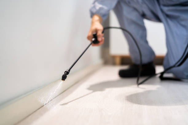 Certified termite inspector examining foundation in Lewisville